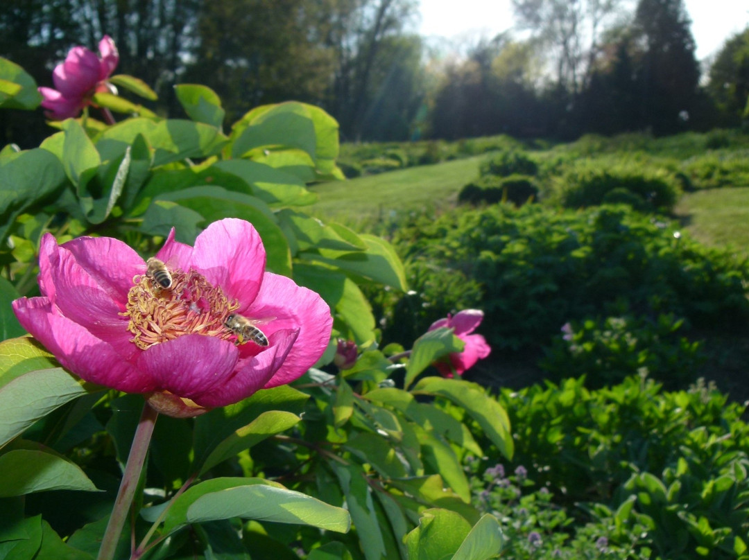 Jardin Botanique de la Presle-Nanteuil-la-Foret必去景点