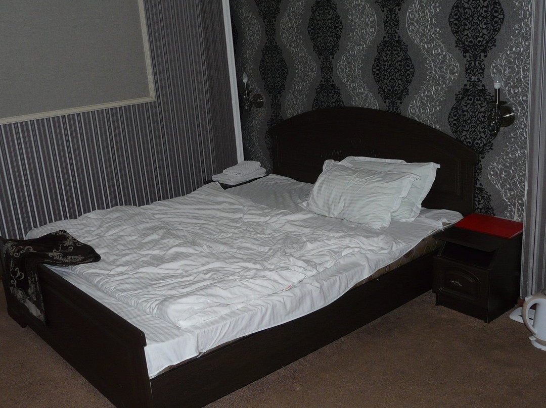 Semey酒店住宿-Mini Hotel VIP