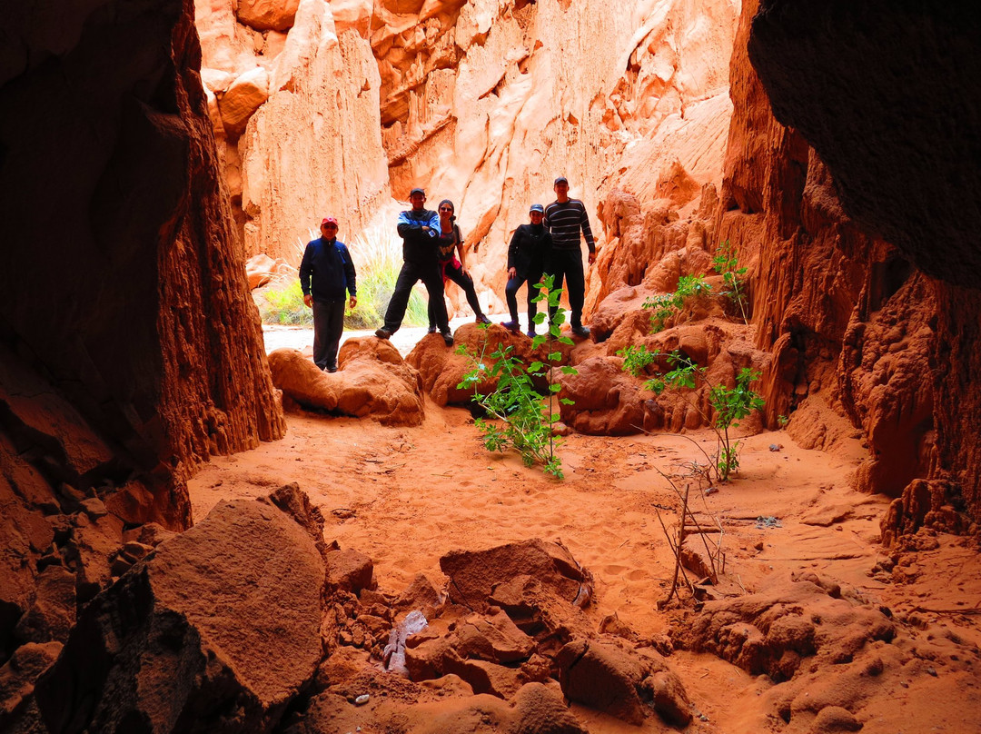 Finca Montenieva主图