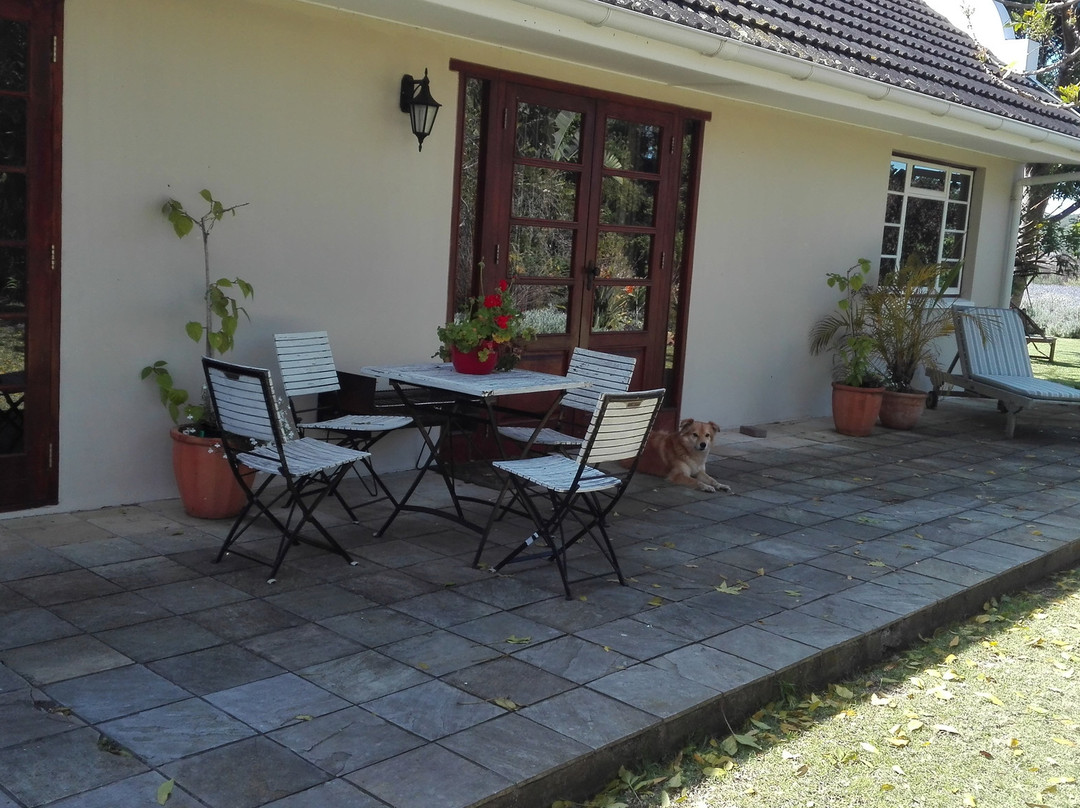 Serpentine Manor主图