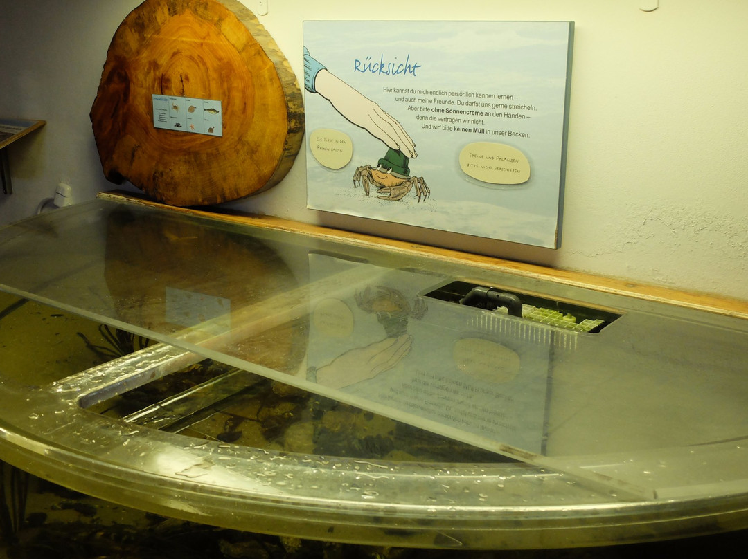 Nationalpark-Haus Wittbulten-斯匹科罗格必去景点