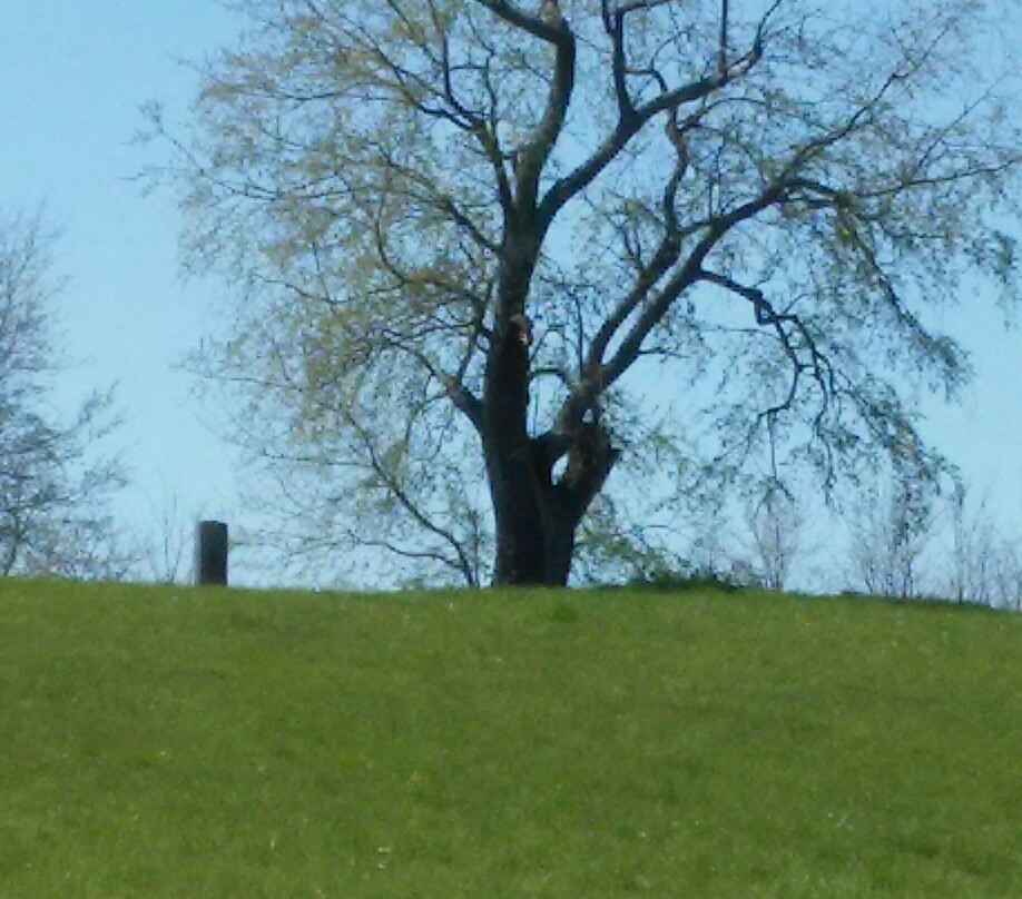 Battlefield Park-里士满必去景点