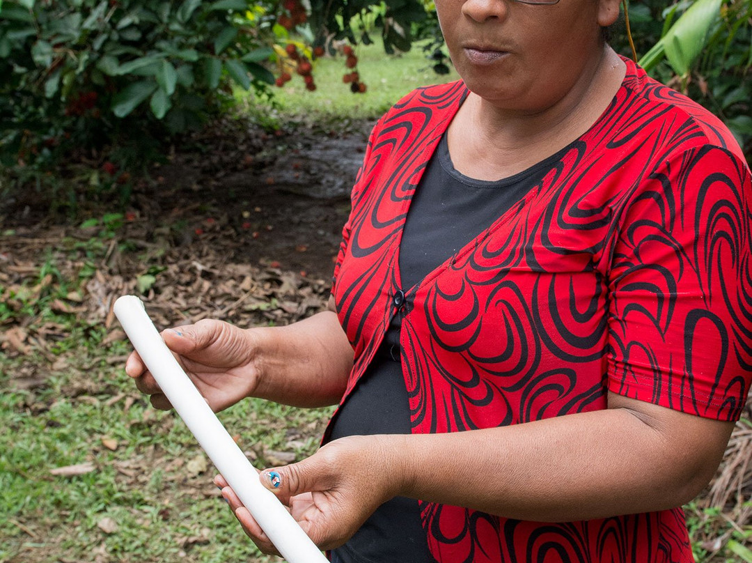 Osa Rural Tours-彭塔雷纳斯必去景点