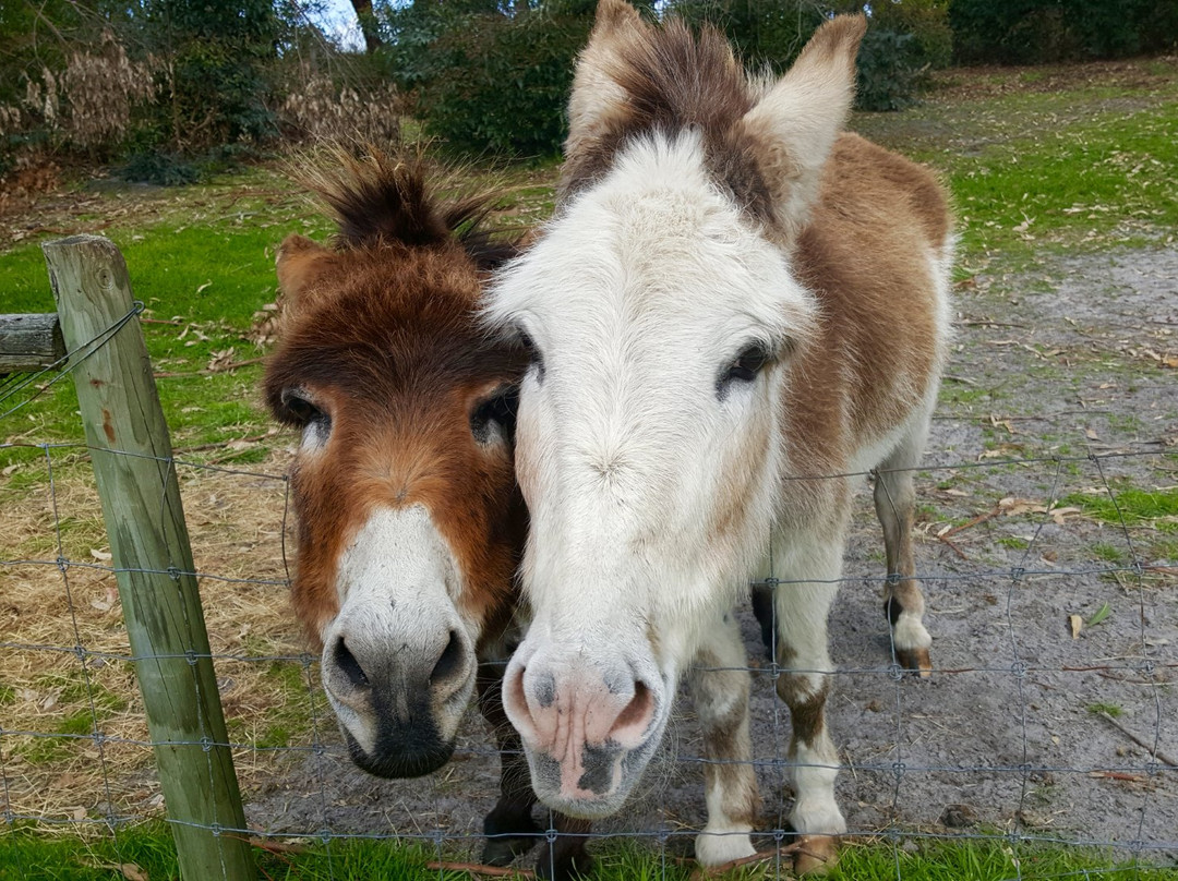 The Old Marron Farm-奥尔巴尼必去景点