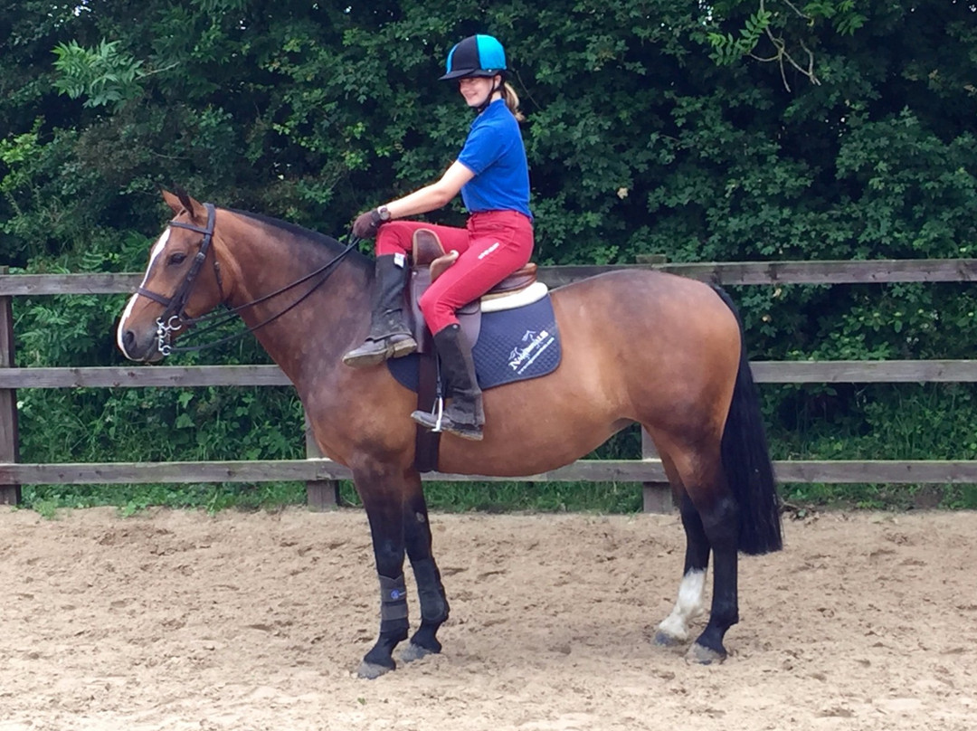 Hot to trot School of Equitation-Bunwell必去景点