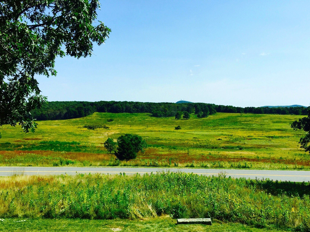 Big Meadows Campground