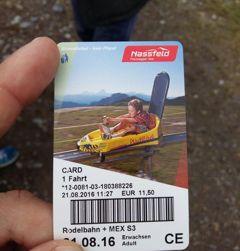 Sommerrodelbahn Pendolino景点图片
