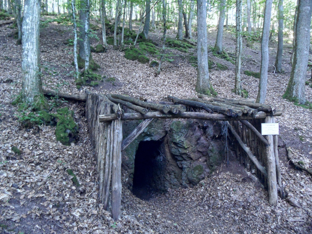 Tropfsteinhöhle Erzenhausen景点图片
