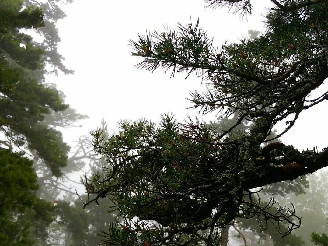 Kokshetau (Sinyukha) Mountain-Shhuchinsk必去景点