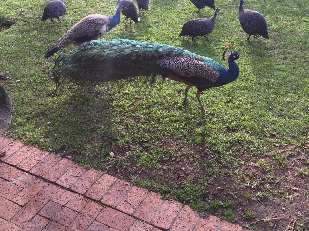 The Greens Lodge主图