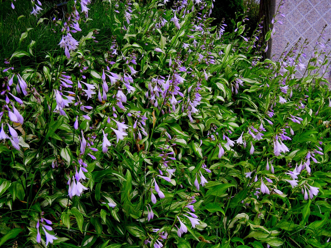 丹东威尼斯建国饭店主图