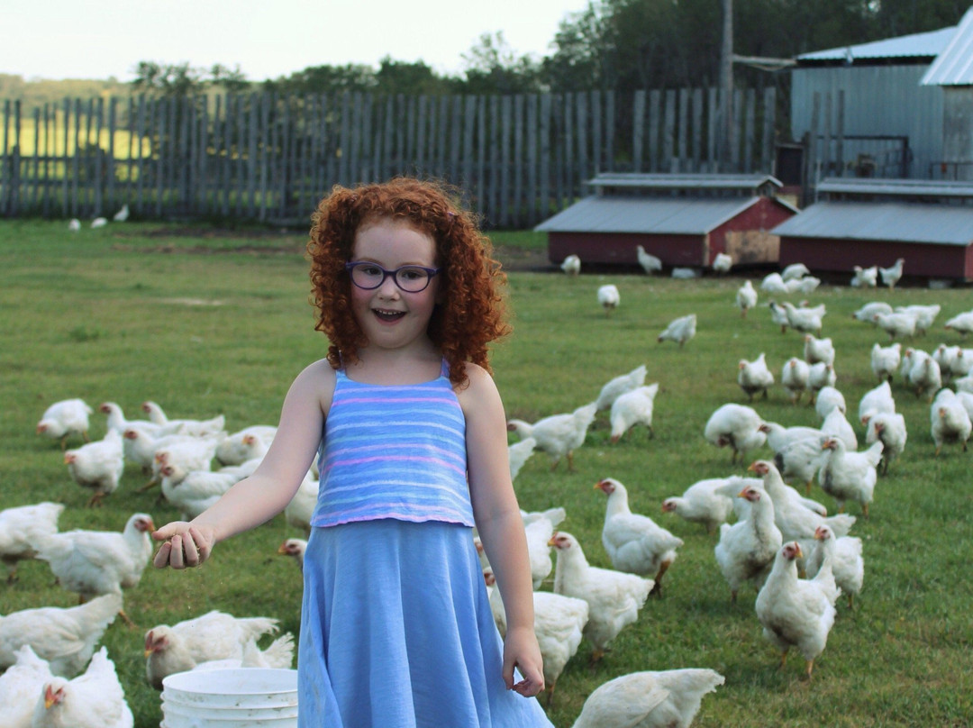 The Grazing Goose-Indian Head必去景点