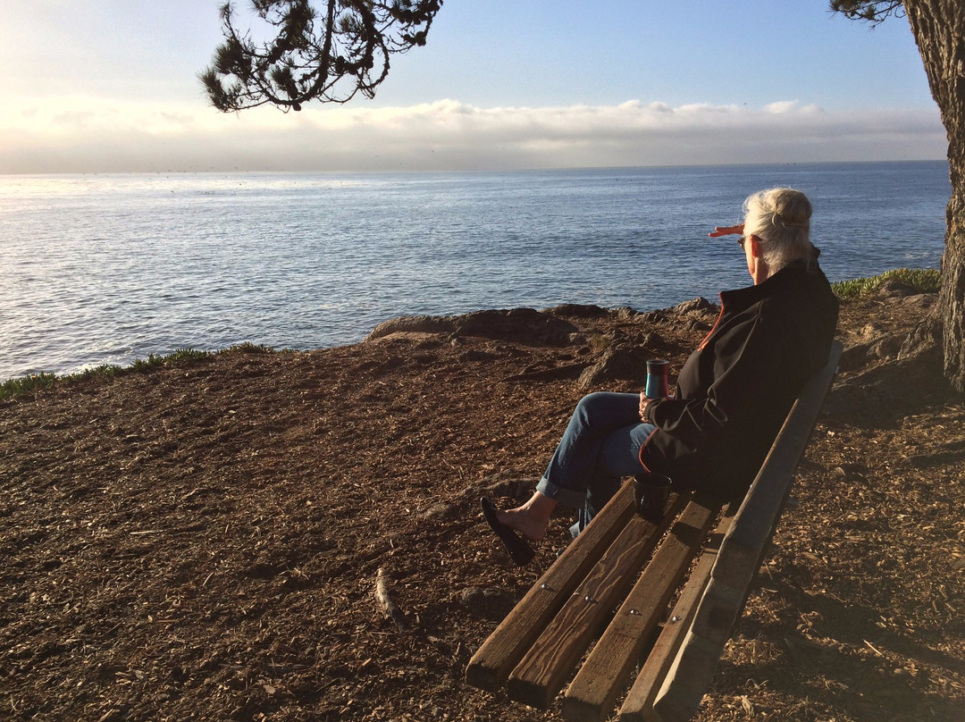 Mitchell's Cove Beach-圣克鲁斯必去景点