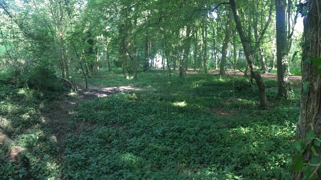 Forêt de Saint-Germain-en-Laye-圣日尔曼莱昂必去景点