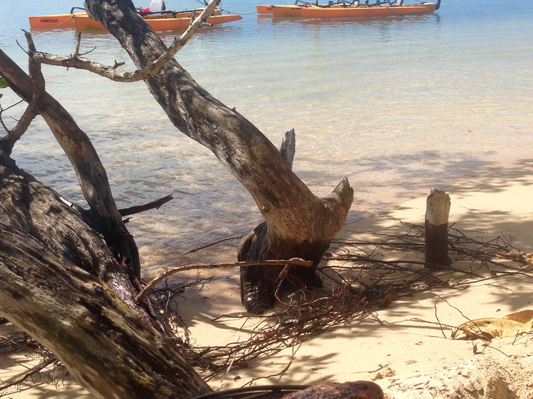 Akwapulsion, Eco Emotions-Petit-Canal必去景点