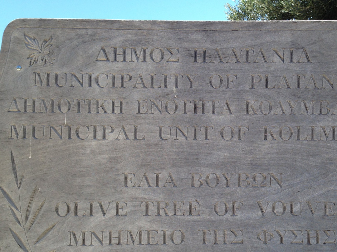 Olive Tree Museum-Vouves必去景点