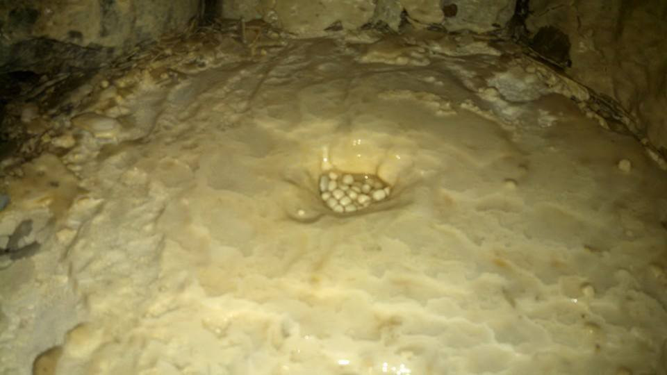 Zane shawnee caverns-Bellefontaine必去景点