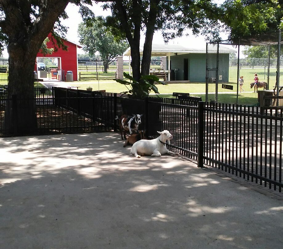Fritz Park Petting Farm-欧文必去景点