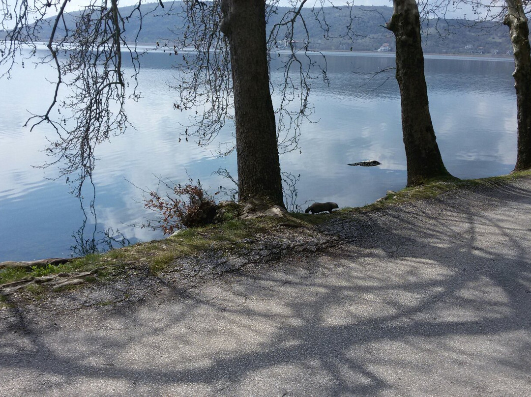 Kastoria Outdoors景点图片