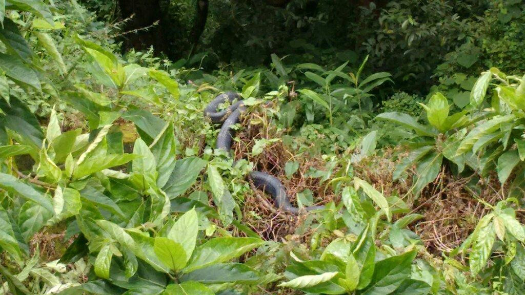 Siruvani Reservoir-Palakkad必去景点