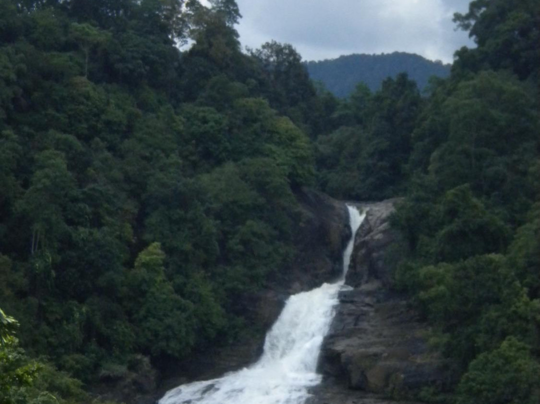 Bopath Ella (Bopath Falls)景点图片
