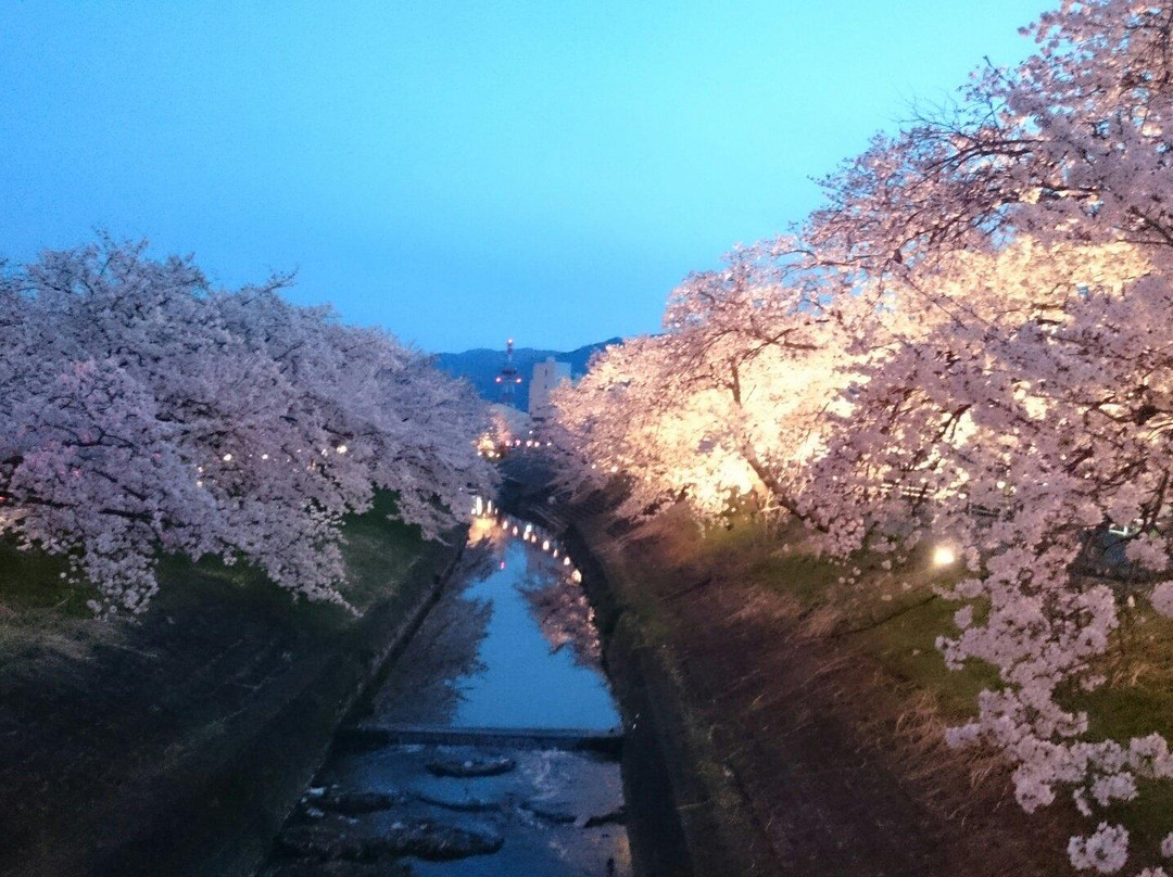 Onaka Park景点图片