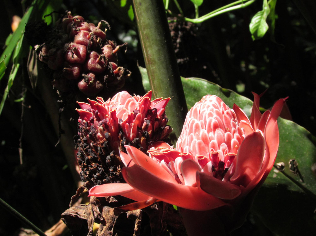 Golfito National Wildlife Refuge-果菲托必去景点