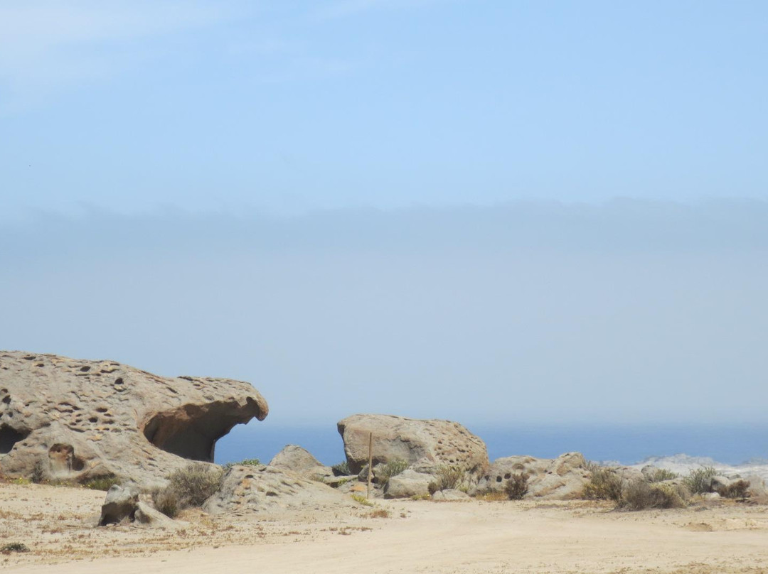 Zoologico de Piedra-Caldera必去景点