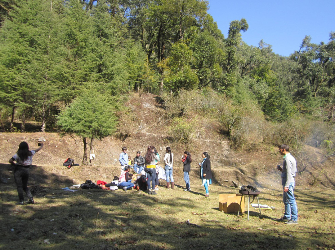 Binog Mountain Quail Wildlife Sanctuary景点图片