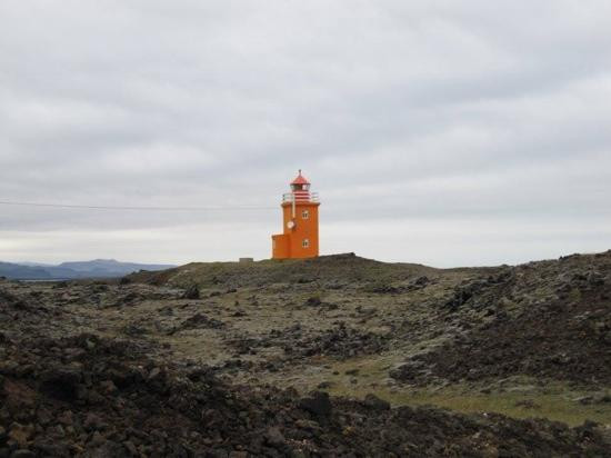 Arctic Horses-格林达维克必去景点
