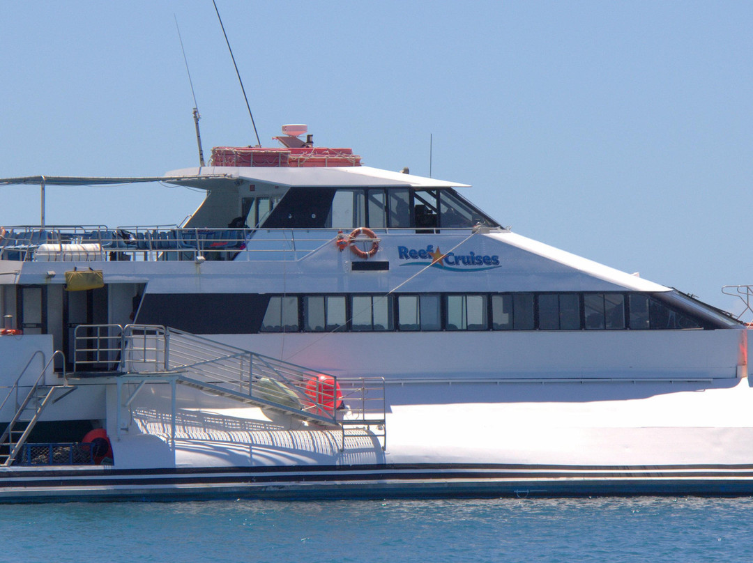 Reefstar Cruises-艾尔利滩必去景点