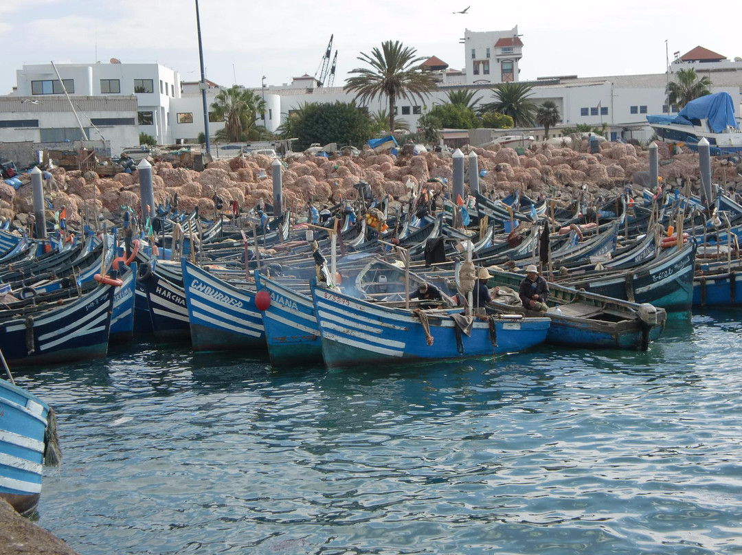Agadir Fishing Port景点图片