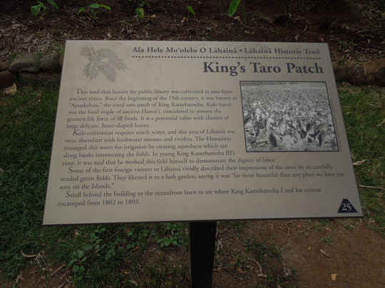 Lahaina Historic Trail-拉海纳必去景点