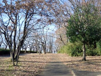 One Street-町田市必去景点