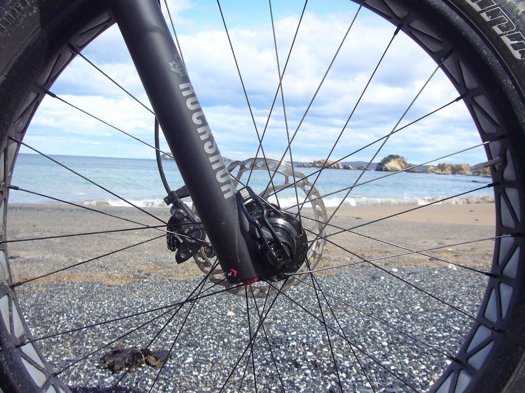 Batemans Bay Cycles景点图片