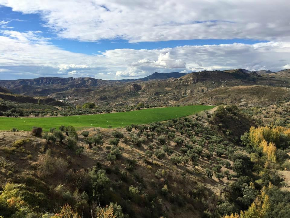 Cortijo La Argumosa主图