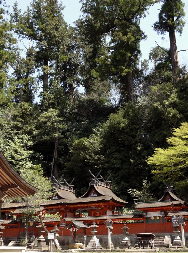 Uda Mikumari Shrine景点图片