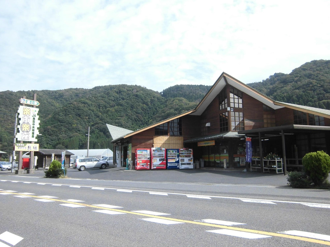 Misasa Michi-no-Eki Rakuichi Plaza景点图片