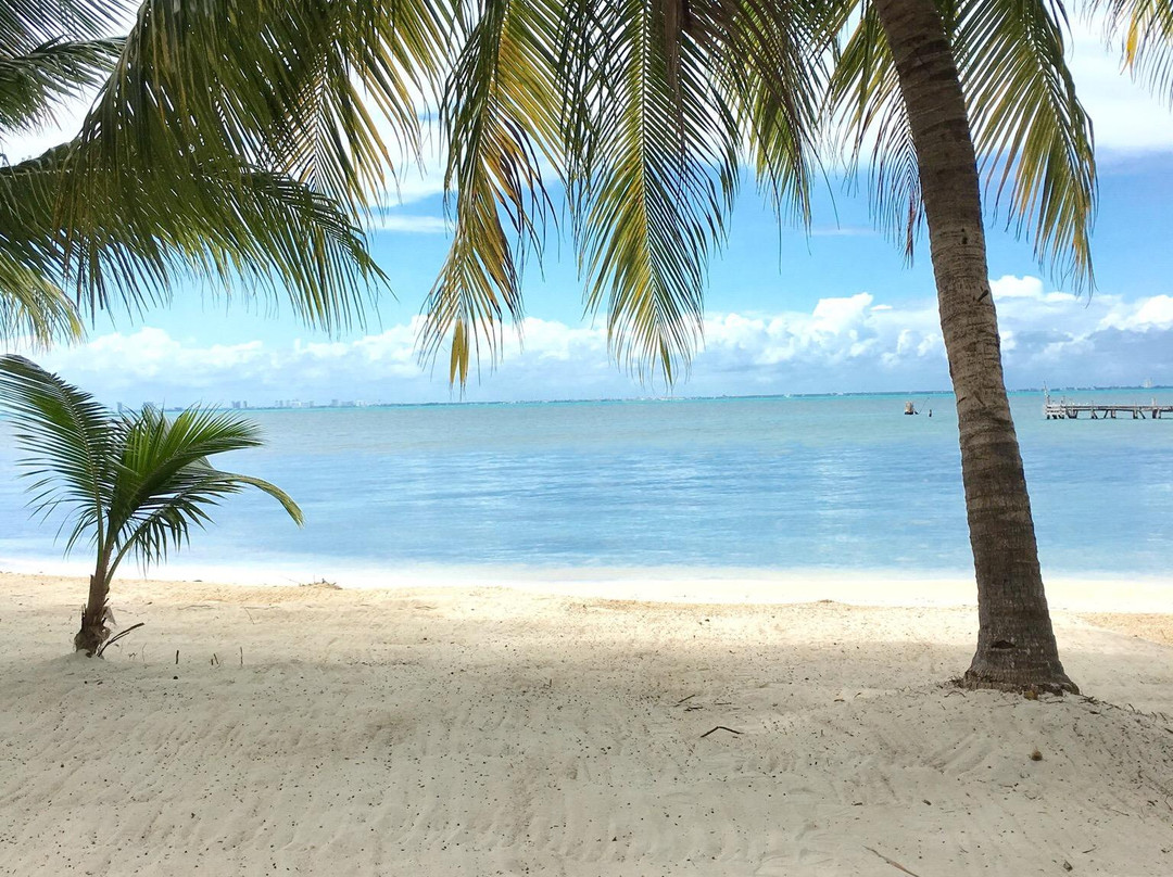 IceBar Mexico-女人岛必去景点