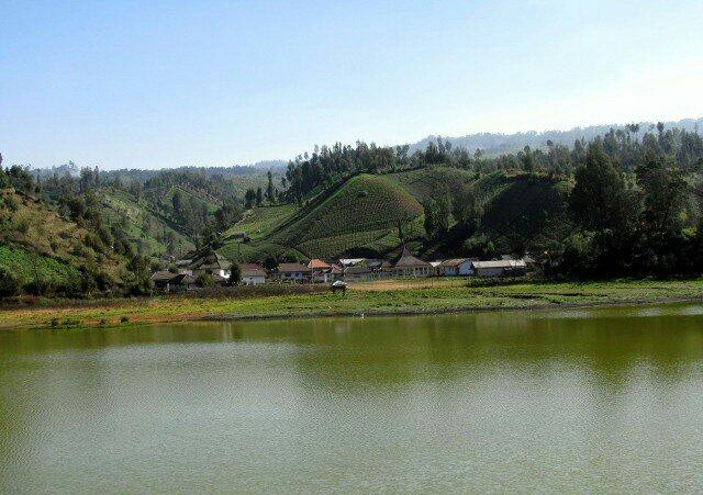 Lake Ranu Pane-Lumajang必去景点