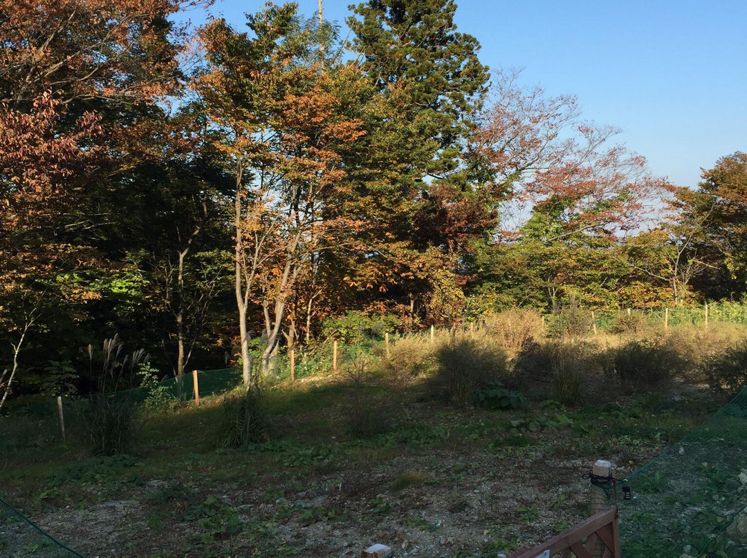Wild Dog Run-川崎町必去景点