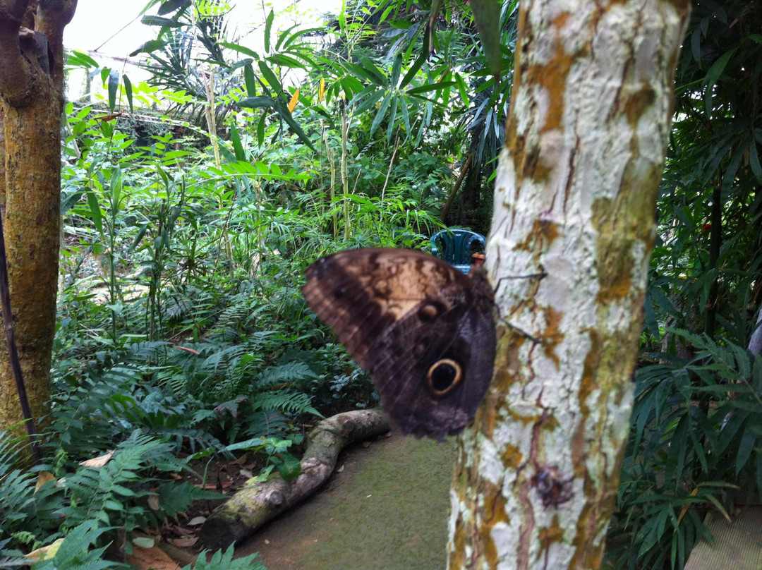 Uslar旅游攻略图片