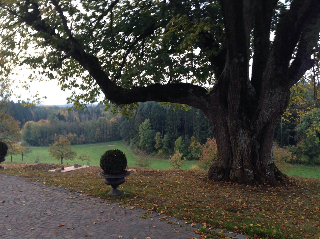 Schloss Freudental主图