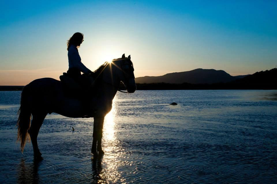 Hurricane Hipica - Day Tours-塔里法必去景点