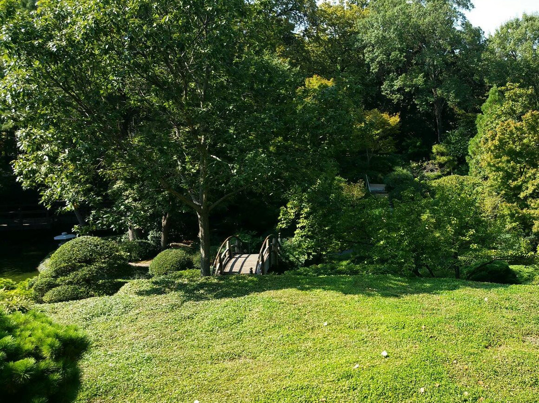 Fort Worth Japanese Garden-沃思堡必去景点