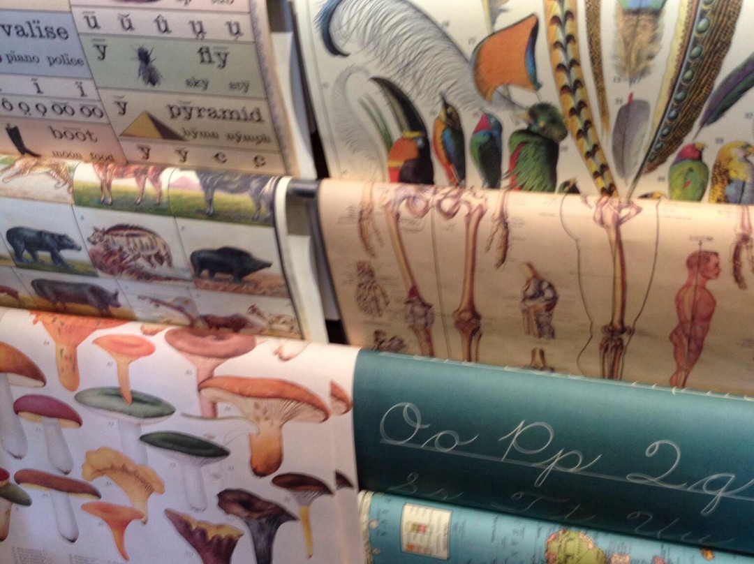 Cargo-阿斯托里亚必去景点