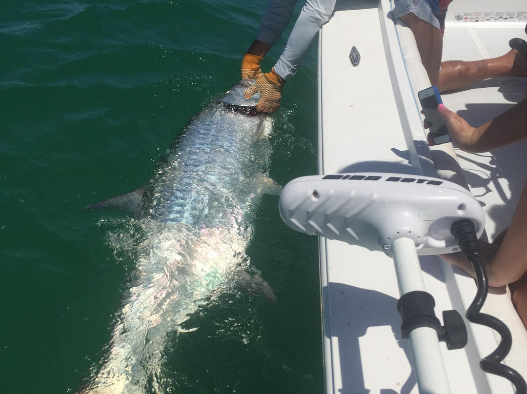 Hotfish Fishing Charters-Boca Grande必去景点