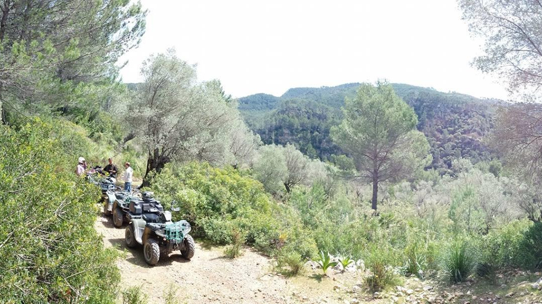 Quad-Mallorca-Andratx必去景点
