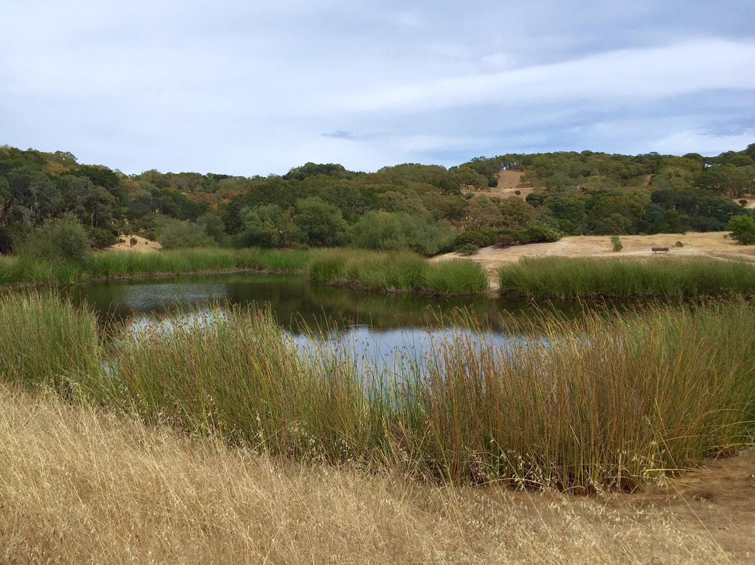 Foothill Regional Park景点图片