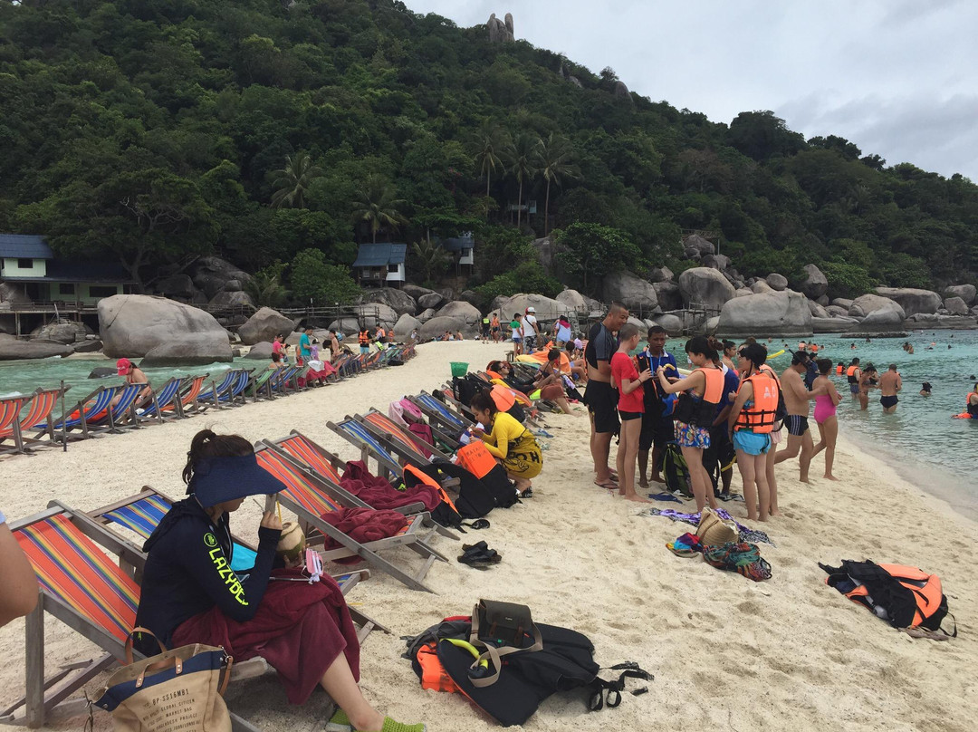 Easy Divers - Koh Nang Yuan-南园岛必去景点